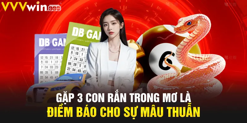 Gặp 3 con rắn trong mơ là điềm báo cho sự mâu thuẫn
