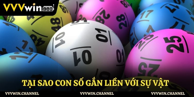Tại sao con số gắn liền với sự vật?